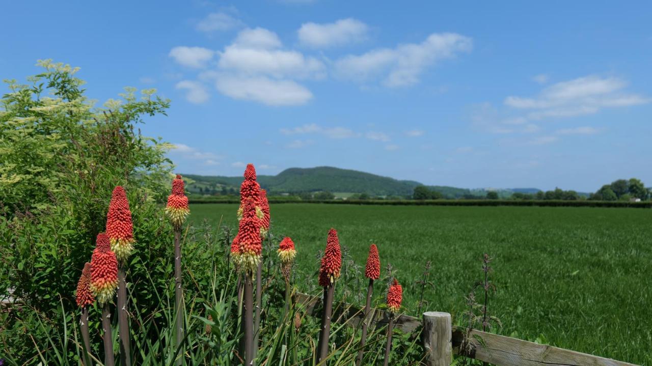 Country Cottage With Far Reaching Views Presteigne Exterior photo